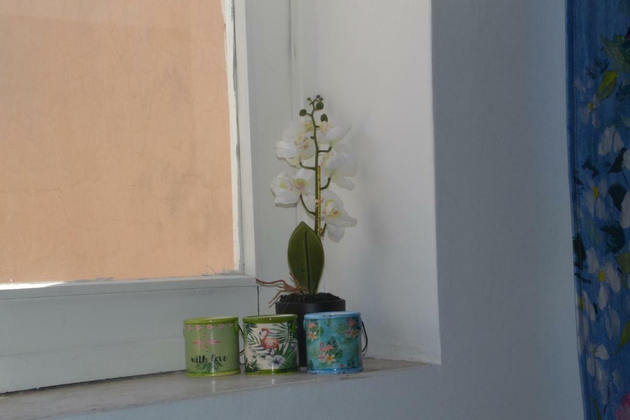 Colosseum Relax Family Apartament Ρώμη Εξωτερικό φωτογραφία